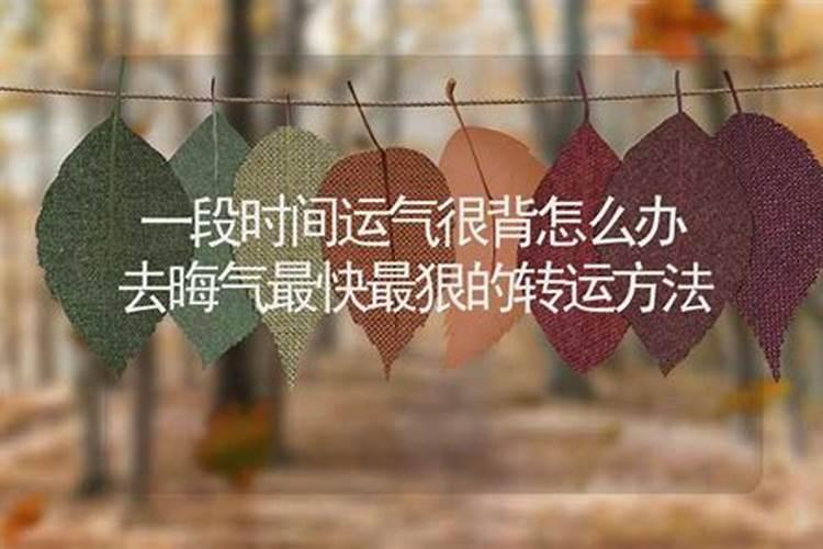 哪些生肖虎年犯太岁,你知道吗