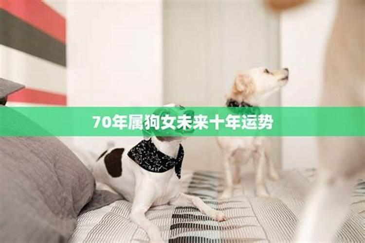 2025年82年狗女的全年运势如何