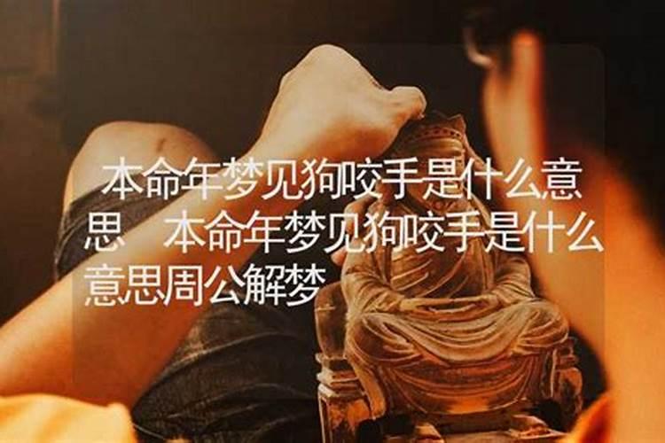 梦见被人咬手是什么意思