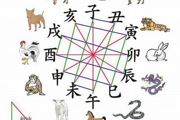 2025属马人全年运势详解