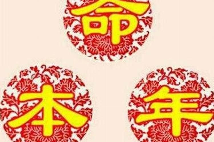 女人梦见各种各样的蛇预示着什么