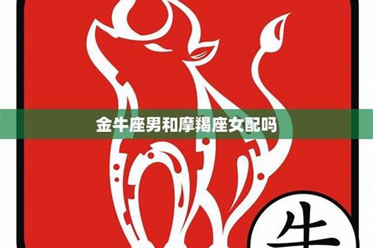 属狗的和属虎的合财吗