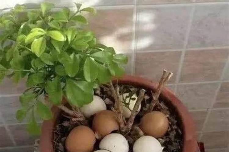 冬至的主要特点是什么 冬至的特点与生活的关系