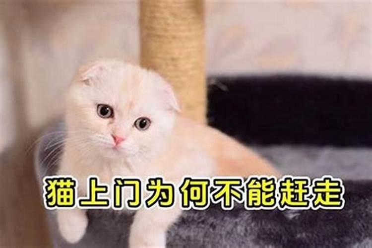 女人梦见小男孩是什么预兆