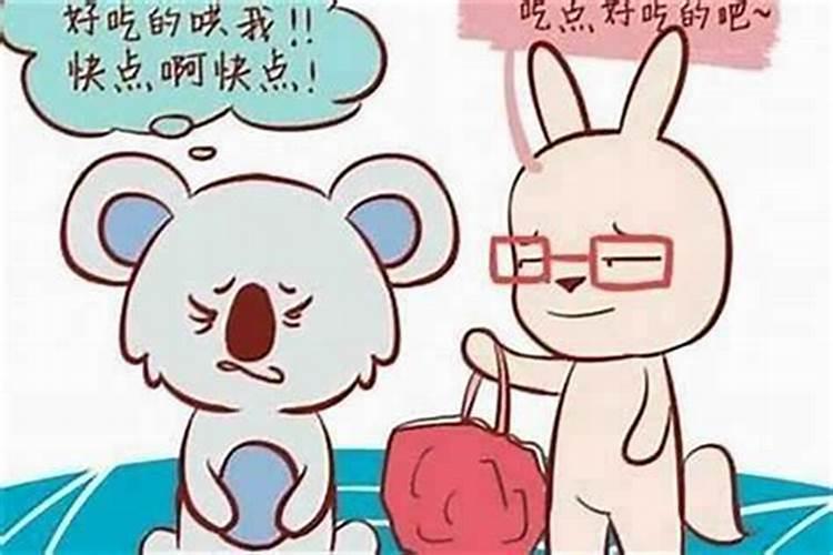 男兔女兔千万别在一起