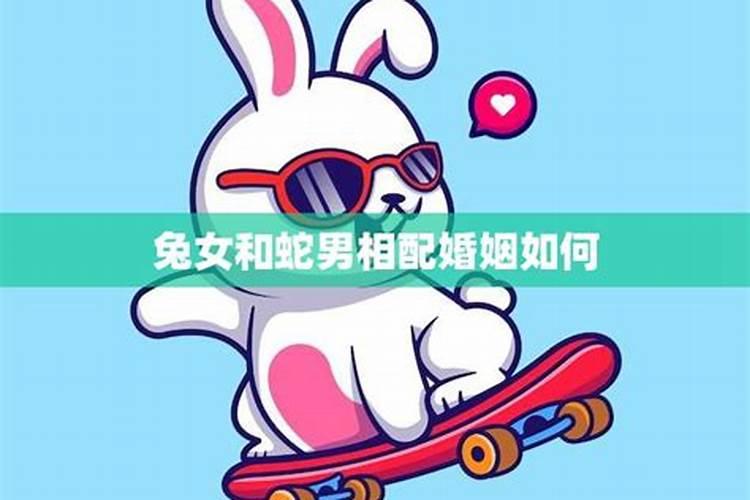 属兔的女人和属兔的男人结婚好不好