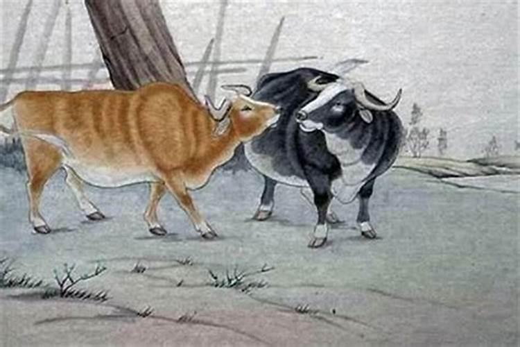 然这个字在十二生肖指的是什么肖