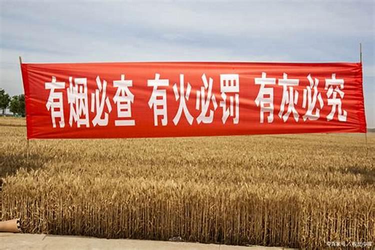 梦见死去的亲人对自己哭的预兆