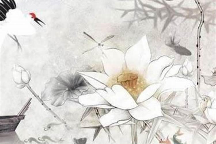道家合婚法术,道家合婚需要什么