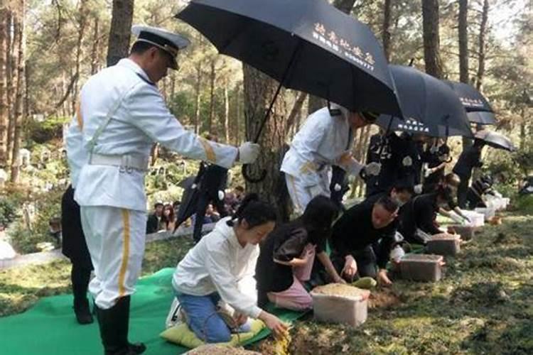 91年羊2025年运势如何