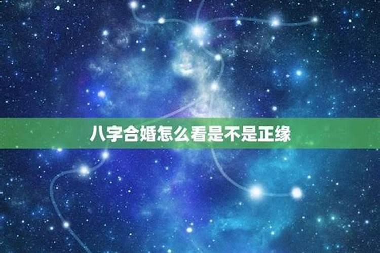 生肖鼠1972年2025年运势如何 生肖鼠1972年2025年全年运势