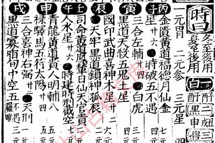 己亥日柱女命生于各月的命理解析