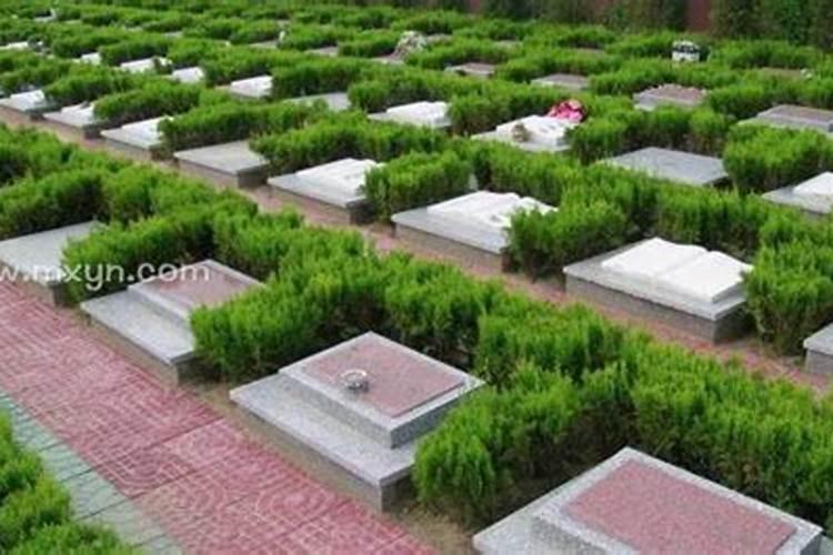 财库怎么才能打开
