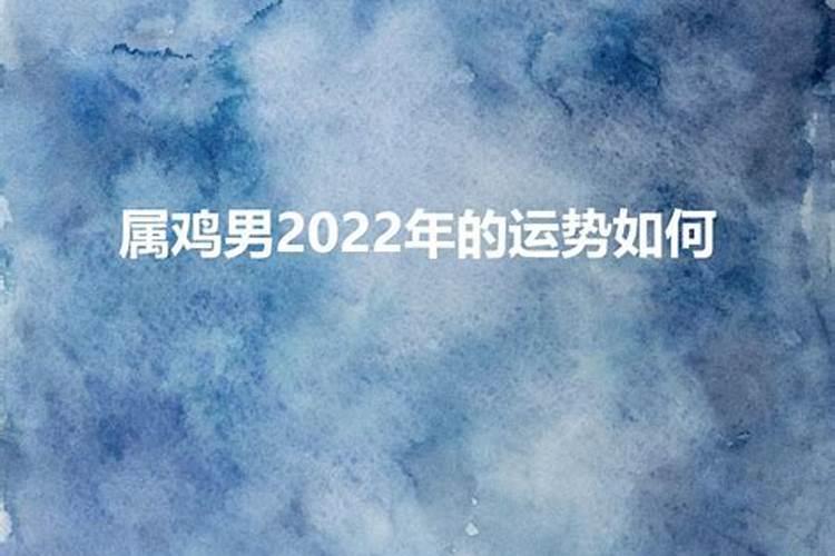 梦见金黄色猫和金黄色蛇的预兆