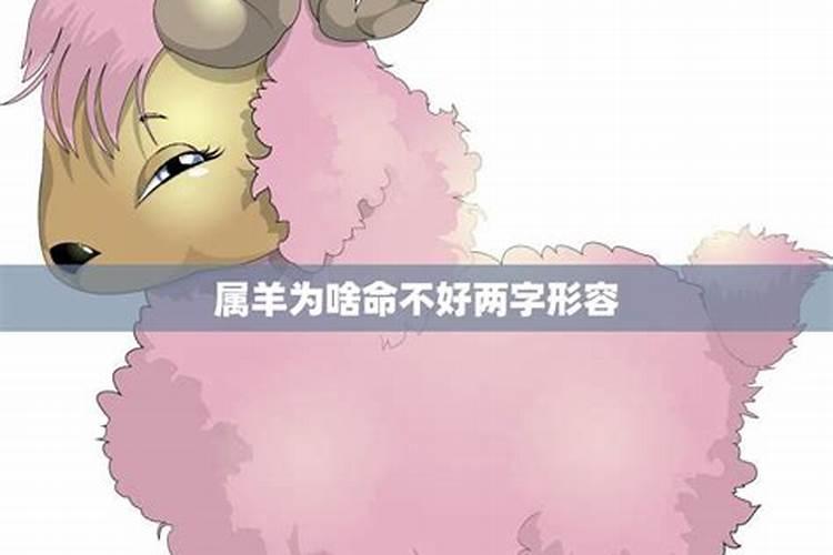 女人梦见自己亲姐死了是什么意思