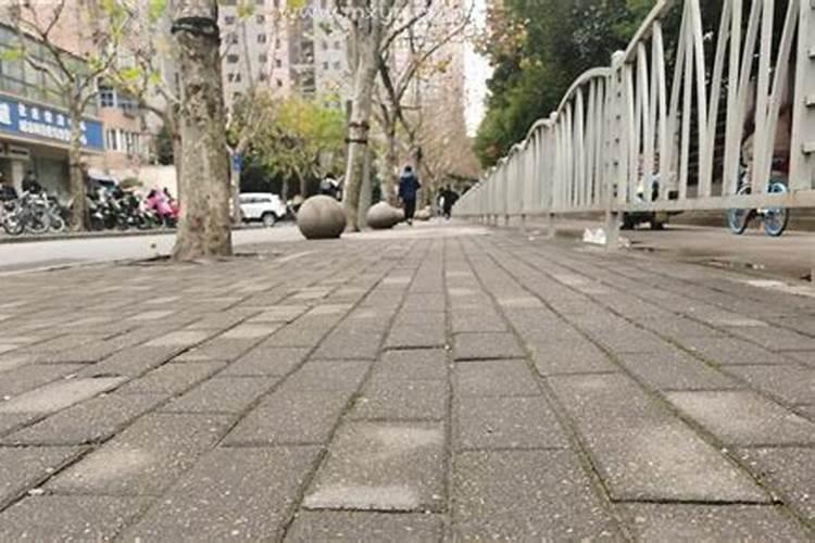 梦见打扫狗屎的预兆