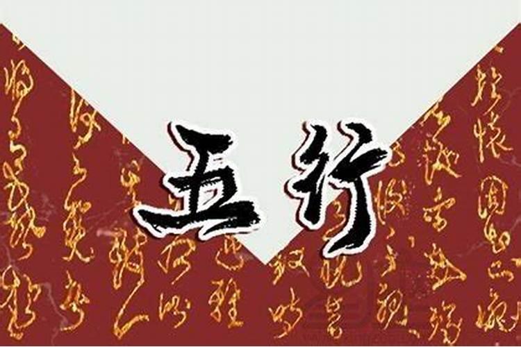 2025年71年属猪女的运势和财运如何