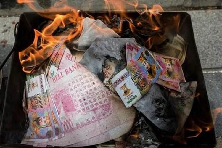 梦见很多鲨鱼在水里游来游去什么意思