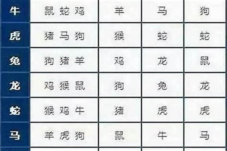 属猪的男人女人和什么属相最配最合适呢 猪属相是跟什么属相最配最好