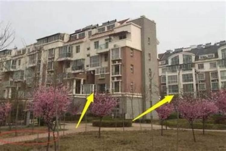 梦见和前夫复婚是什么意思周公解梦有什么含义