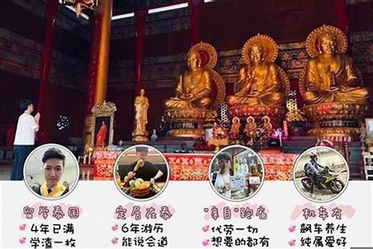属鸡和属兔在事业上能合作吗