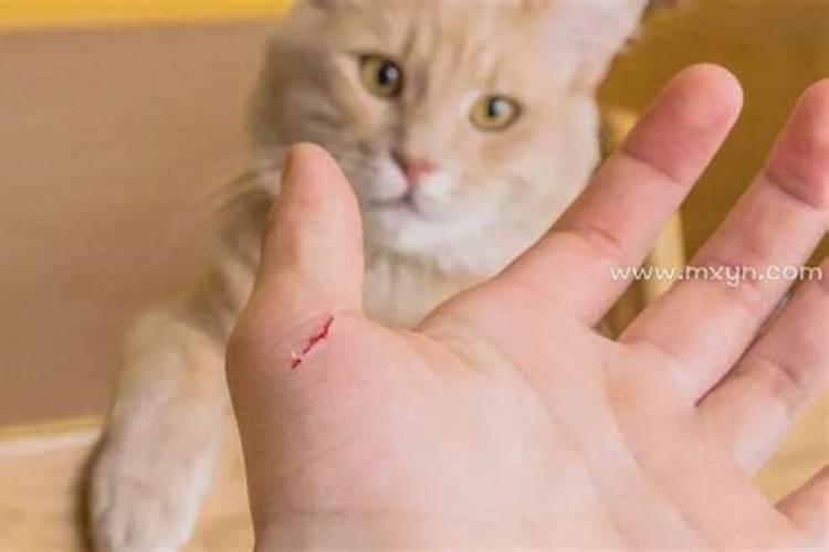 梦到旧房子是什么意思？