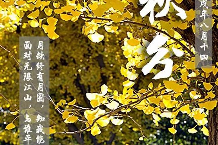 秋分禁忌什么