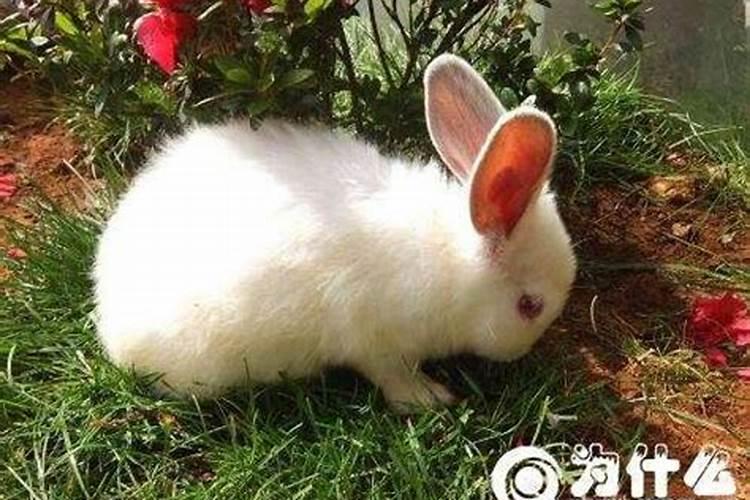 九九重阳节日记