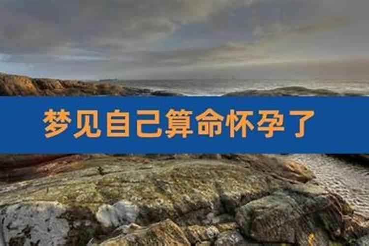 87年的兔,8月初八出生的人是什么性格
