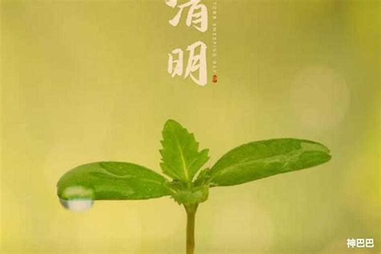 2025属马事业运如何 1966年属马58岁以后命运