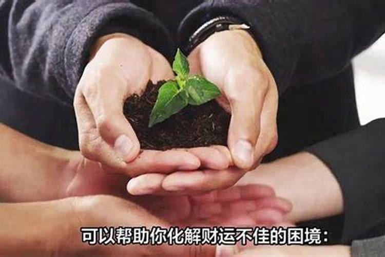 财运不好怎么转运 财运不好转运方法