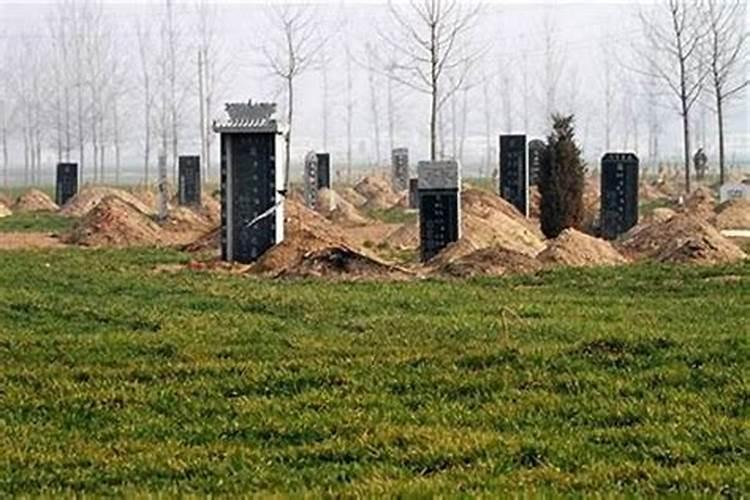墓地里埋什么旺后人 墓地放什么旺后代