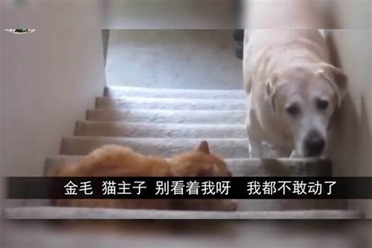 哪种八字的男人或女人容易婚姻不顺,该如何化解？