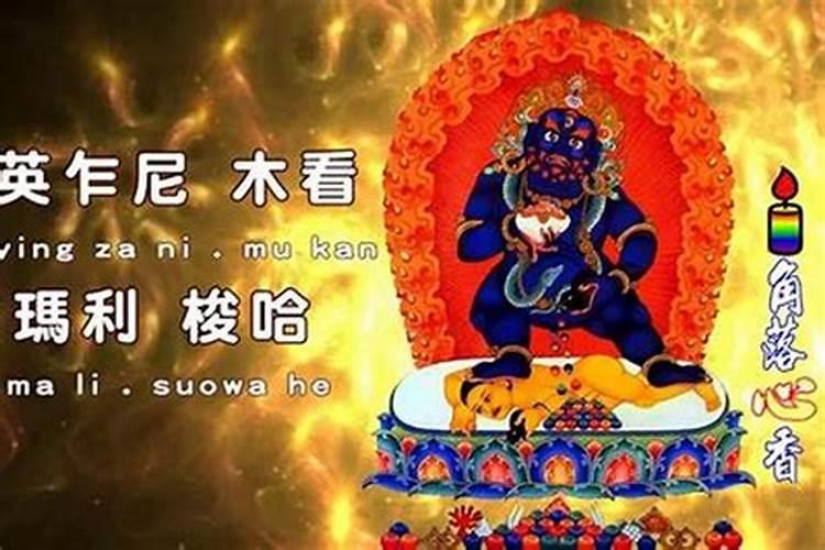 1970年属狗的终身寿命多长？