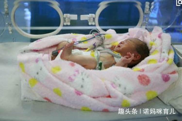本命年都是哪几年