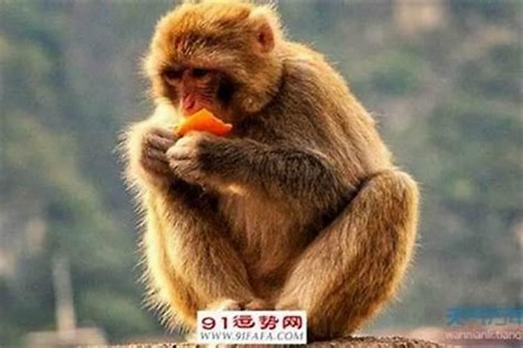 放烟古代是什么意思？