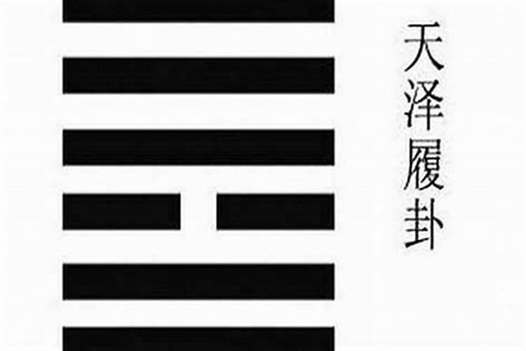 梦见猫生了小猫是什么意思？