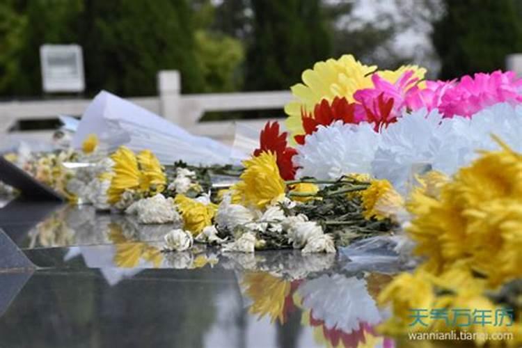 清明节上坟用什么花较好
