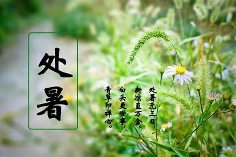 盗墓笔记鹿晗说的上三门为贵下三门为商平三门为啥