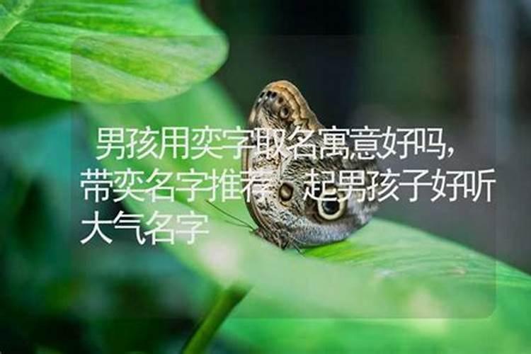 吴姓女孩,2013年蛇年农历正月初二下午17:55出生,问五行缺什么？起什么...