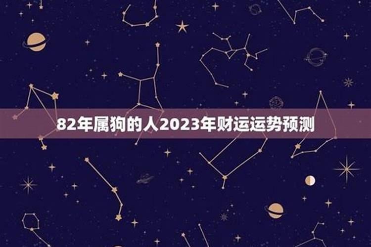 2025年82年狗女的全年运势如何