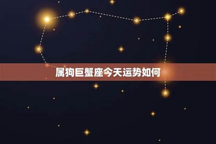 巨蟹座,属虎的,明天运势怎样,下周运势怎么样