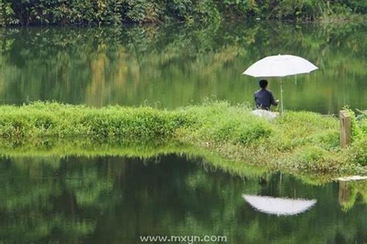 梦见河里好多大鱼大虾自己还生了个男宝宝有什么寓意  百度宝宝知道