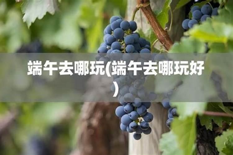 有哪些端午适合去的比较小众的地方？
