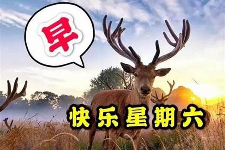 98虎年本命年男性佩戴什么好