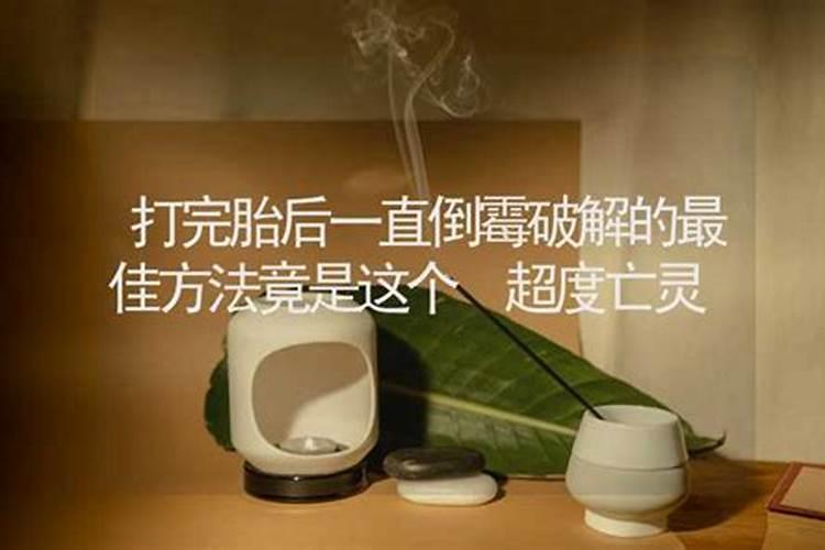 农历4月出生属兔人命好吗