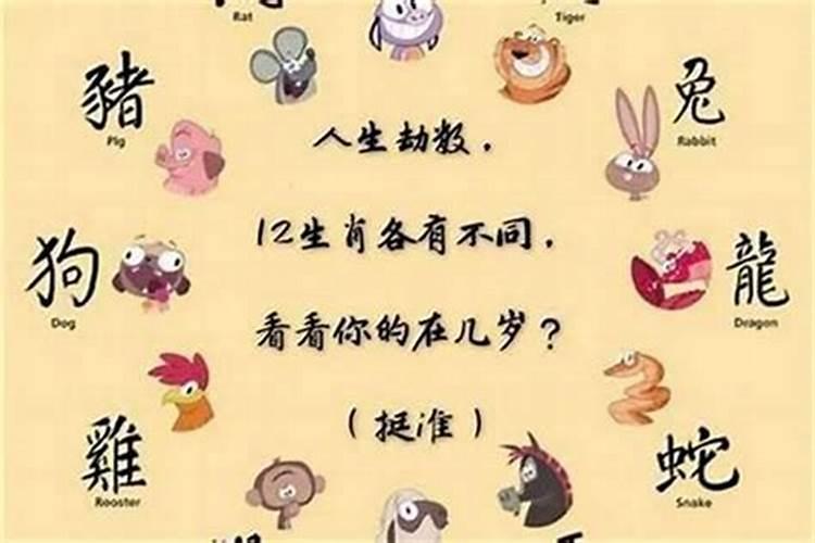 把持不定.见异思迁!势利小人必贪钱!利之所在.挺而走险!哪怕深渊在眼前...