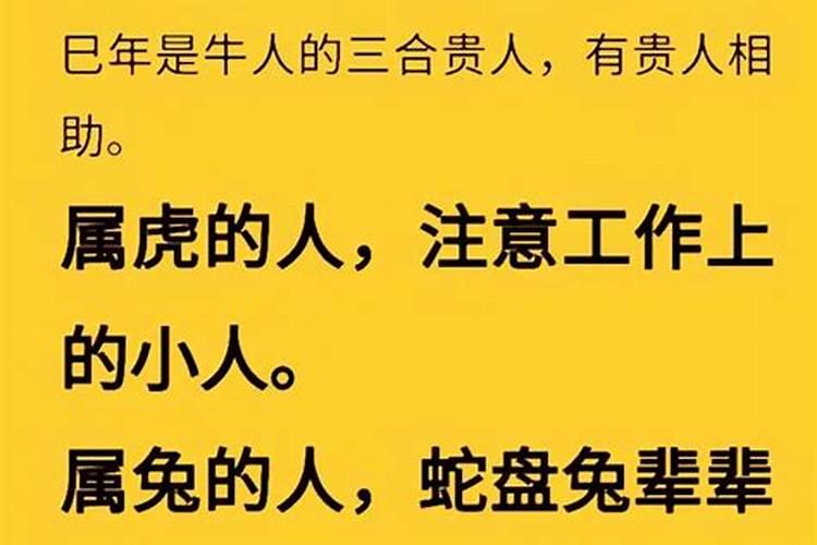 90属马人2025年及未来运势
