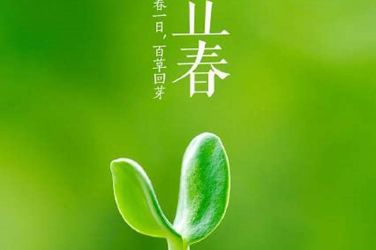 “腊雪是宝,春雪是草”,腊月下雪真的有那么好吗？