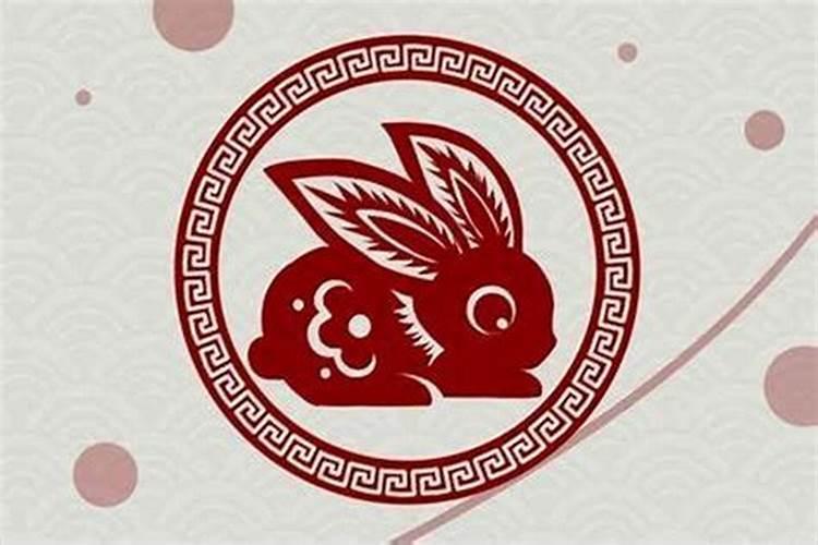 属兔的生在1—12个月的命格